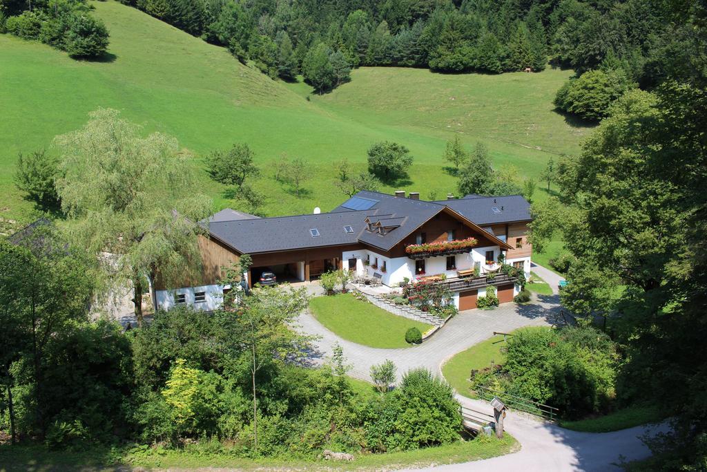 Urlaub Mitten Im Wald - Lueg Scheibbs Exterior photo
