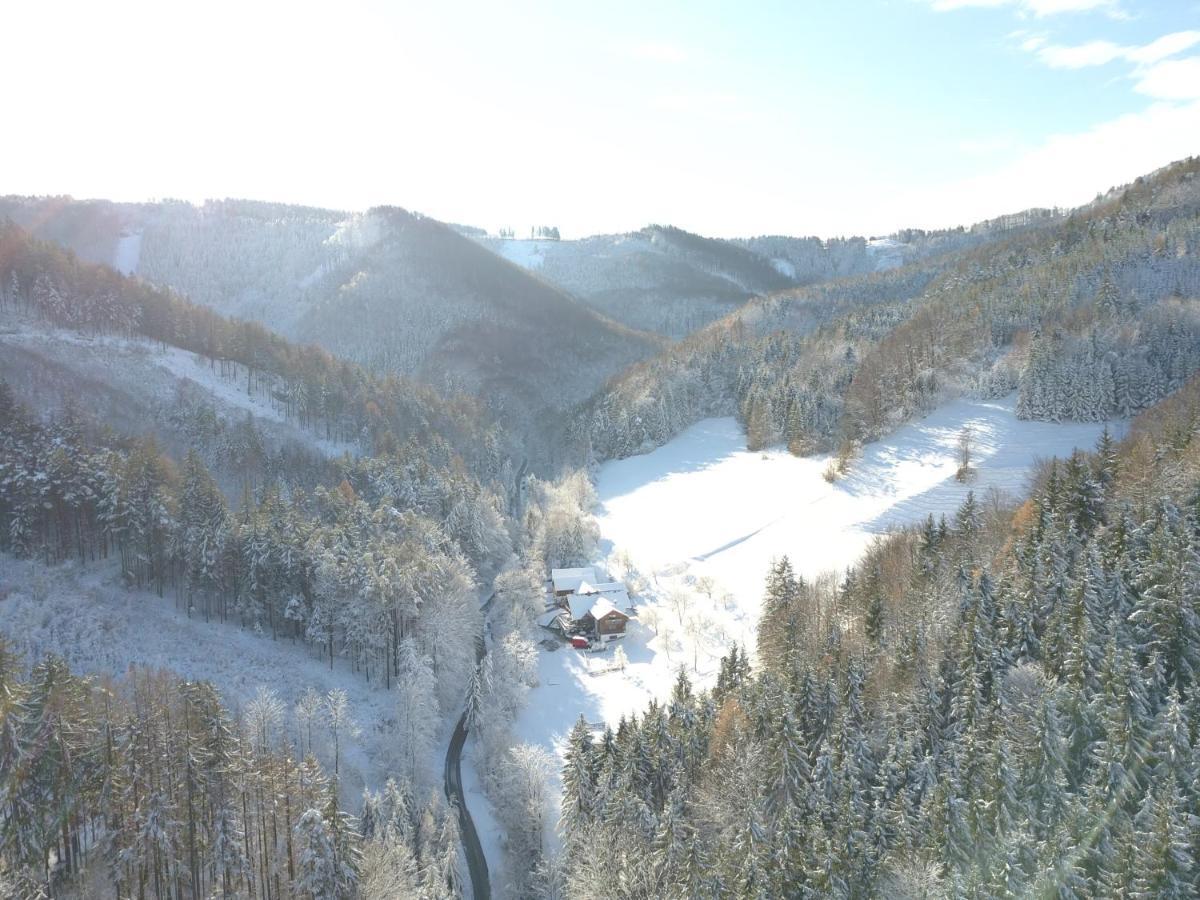 Urlaub Mitten Im Wald - Lueg Scheibbs Exterior photo
